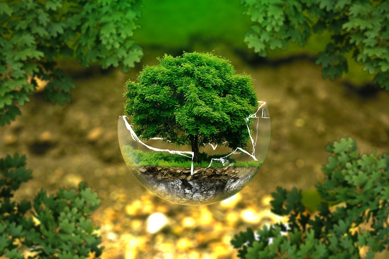 Environmental Conservation